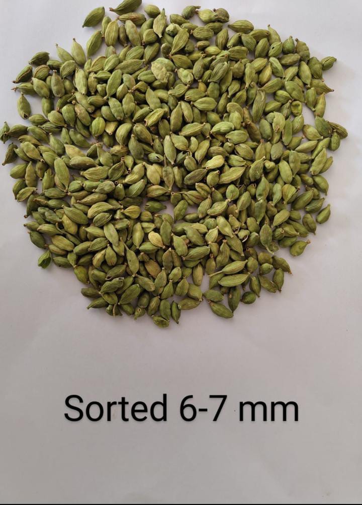 Green Cardamom - 1 Kilogram