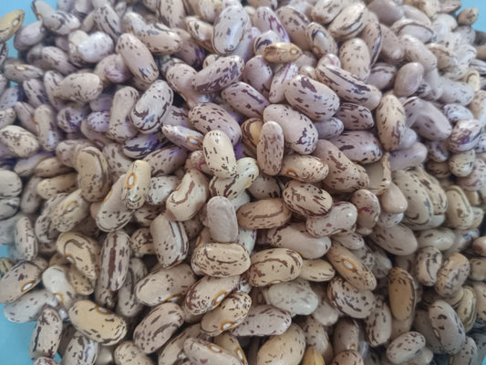 Rajma - 1 Kilogram